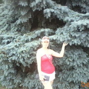 ���������� ���������, ���� ������� ������� 28, 41 ���, ������������ ��� ����� � ���������, c�������� ���������