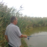 ���������� ������, ���� ������� ������, 56 ���, ������������ ��� ������