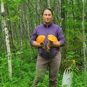 ���������� ������, ���� ������� �����, 46 ���, ������������ ��� ������, ����� � ���������, c�������� ���������, ���������