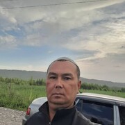   ,  , 41