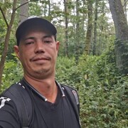 ���������� ���������, ������� Eduard, 33