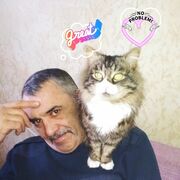  ,   , 53 ,   ,   , c , 