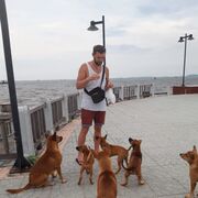 ���������� �����, ���� ������� ���������, 30 ���, ������������ ��� ������, ����� � ���������