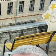  ,   , 44 ,   ,   , c 