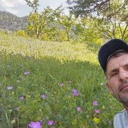  ,   , 50 ,   ,   