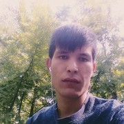  ,   Elmurod, 33 ,     , c 