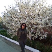  ,       , 62 ,     , c 