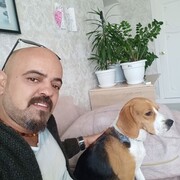  ,   , 43 ,   