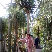  ,   , 63 ,   c 