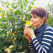 ���������� ������, ���� ������� �����, 37 ���, ������������ ��� c�������� ���������