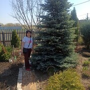 ���������� ������, ���� ������� �������, 52 ����, ������������ ��� ����� � ���������, c�������� ���������