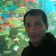 ���������� �����-���������, ���� ������� �����, 37 ���, ������������ ��� ������, ����� � ���������