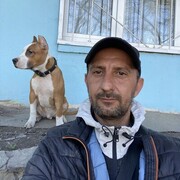 ���������� ������-��-����, ���� ������� �����Stereo, 43 ����, ������������ ��� c�������� ���������