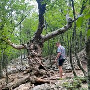 ���������� �����, ���� ������� ����, 32 ����, ������������ ��� ������, ����� � ���������, c�������� ���������, ���������