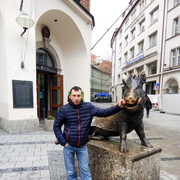   ,   , 37 ,  