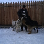 ���������� ���������, ���� ������� ��� ����, 35 ���, ������������ ��� ���������