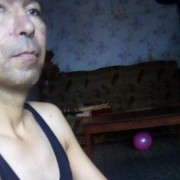   ,   , 51 ,   