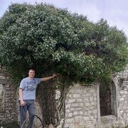 ���������� ������-��-����, ���� ������� �������, 31 ���, ������������ ��� ������, ����� � ���������, c�������� ���������