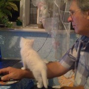  ,   , 65 ,   ,   , c 