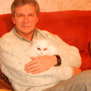  Baden-Baden,   Niko, 62 ,   ,   , c 