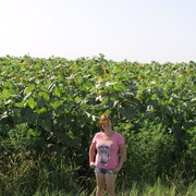 ���������� ���������, ���� ������� �����, 46 ���, ������������ ��� ������, ����� � ���������, c�������� ���������