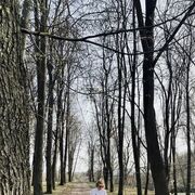  ,   , 27 ,     , c 
