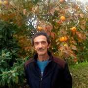  ,   , 55 ,   ,   