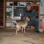  ,   , 51 ,   ,   , c 