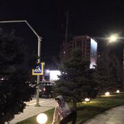  ,  Taymaz, 20