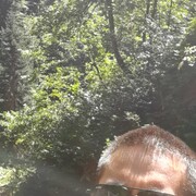 ���������� �����������, ���� ������� �����, 29 ���, ������������ ��� ������, ����� � ���������, c�������� ���������