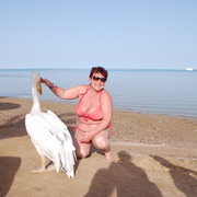  ,   , 65 ,     , c 