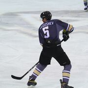 ���������� ���������, ���� ������� ���������, 31 ���, ������������ ��� c�������� ���������