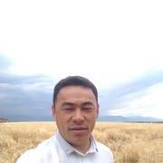 ���������� ������, ���� ������� ����, 43 ����, ������������ ��� ������, ����� � ���������, c�������� ���������