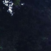 ���������� �����������, ���� ������� ����, 50 ���, ������������ ��� ������