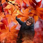  ,   , 55 ,   ,   , c 