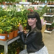 ���������� ����, ���� ������� �������, 55 ���, ������������ ��� ������, ���������