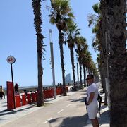 ���������� �����-���������, ���� ������� ������, 38 ���, ������������ ��� ������, ����� � ���������, c�������� ���������