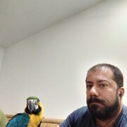  ,   Ned, 49 ,     , c 