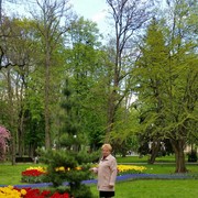 ���������� ������, ���� ������� ������, 68 ���, ������������ 