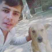    "")