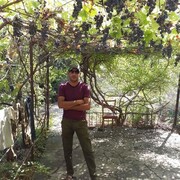  ,   , 43 ,   ,   
