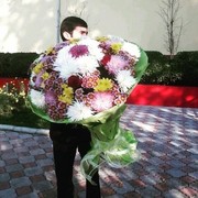 ���������� ������, ���� ������� Rustik, 34 ����, ������������ ��� ���������