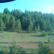 ���������� ������-��-����, ���� ������� ������, 50 ���, ������������ ��� ������