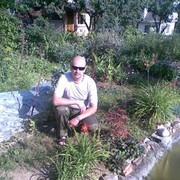  ,   , 50 ,   , 