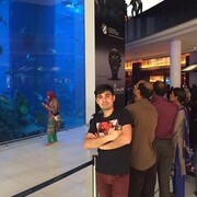 ���������� ����, ���� ������� ������, 37 ���, ������������ ��� ������, ����� � ���������