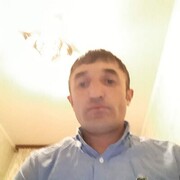 ,   , 43 ,   ,   