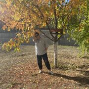 ���������� ���������, ���� ������� �������, 49 ���, ������������ ��� ������, ����� � ���������