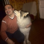  ,   RU, 43 ,   ,   , c 
