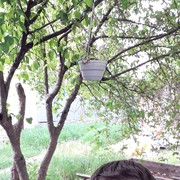   ,   , 26 ,   