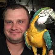  ,   , 42 ,   ,   , c 